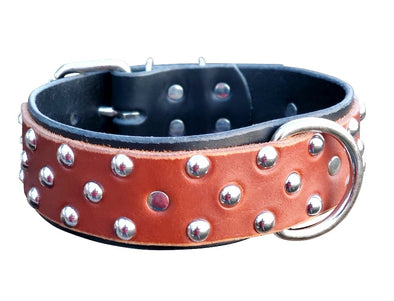 Studded Black & Brown Leather Dog Collar Made For Larger Breed Dogs