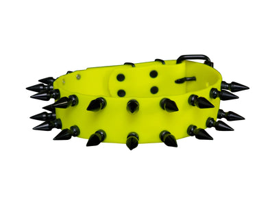 Bioflex Waterproof Spiked Dog Collar