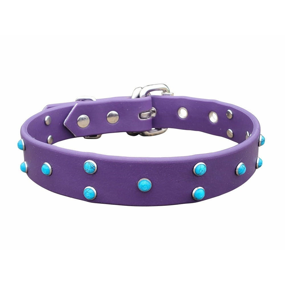 Studded Turquoise Dog Collar