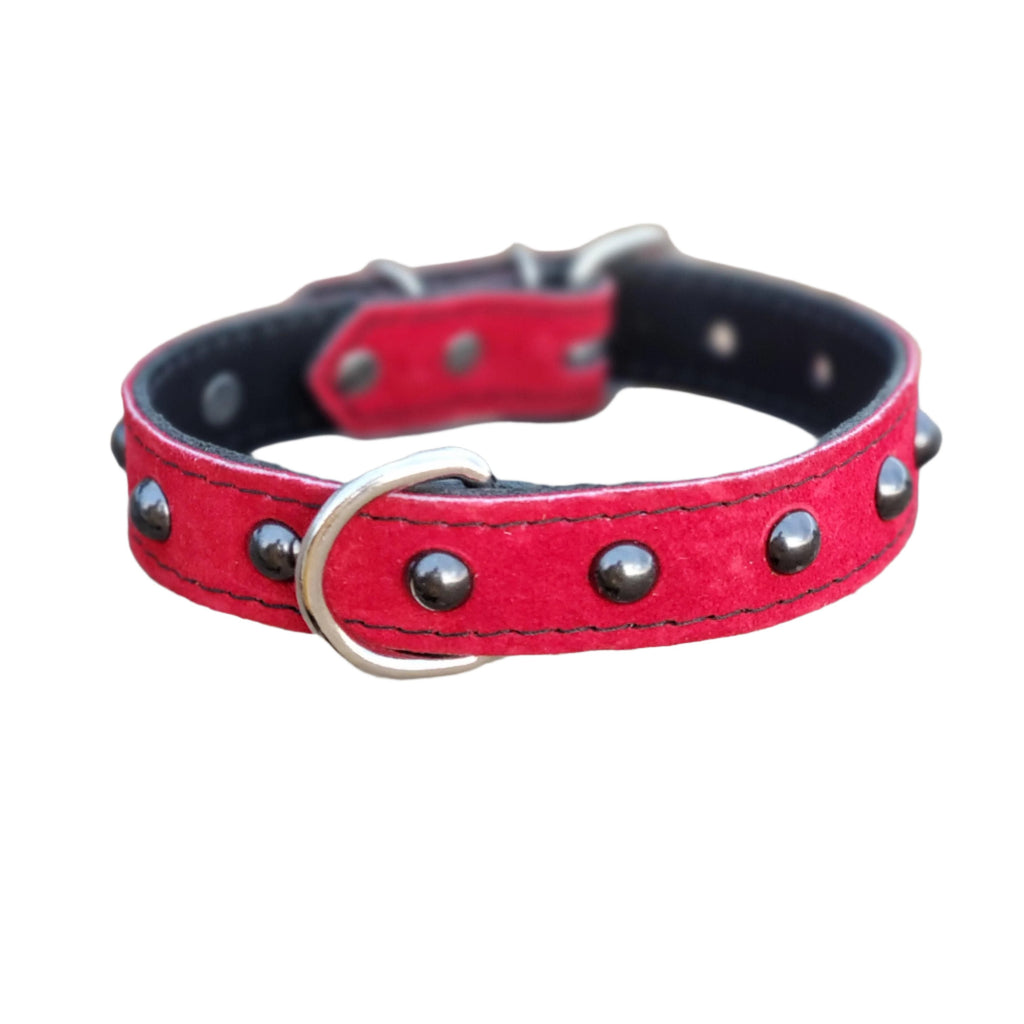 1" Red Suede Stud Dog Collar - fits 12" to 16"