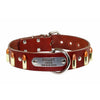 Leather Personalized Dog Collar with Gold Bullets