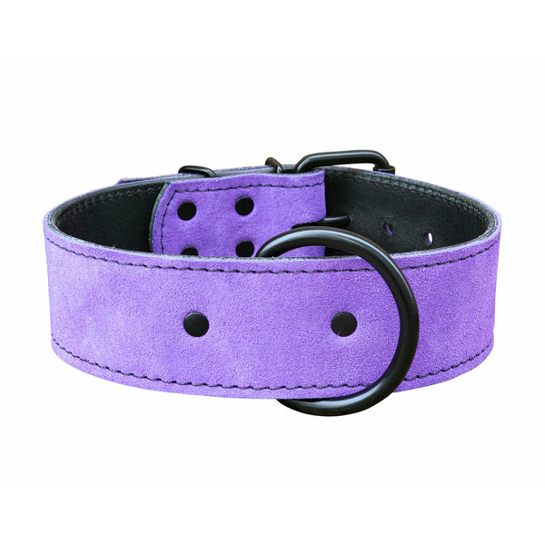 Royal Blue Suede Leather Dog Collar