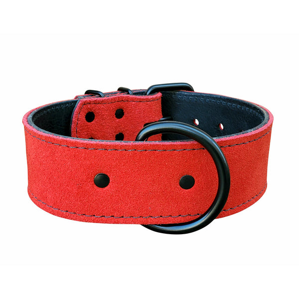 Royal Blue Suede Leather Dog Collar