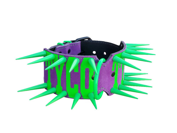 Purple Leather Personalized Dog Collar - Green Spiked Collar 