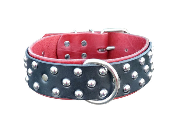 Dual Layer Studded Black & Burgundy Leather Large Dog Collar