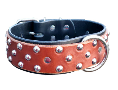 2" Dual Layer Studded Full Grain Leather Dog Collar - fits 18" to 22" 