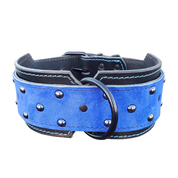 3" Dual Layer Royal Blue Suede Studded Leather Dog Collar - fits 21" to 25"