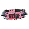 American Bully Leather Spiked Name Dog Collar 