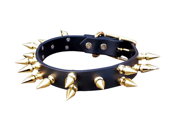 Gold Spiked Biothane Dog Collar