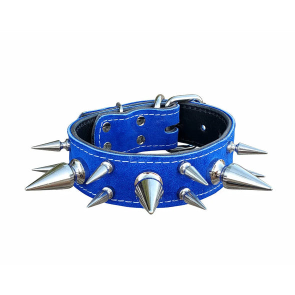 1.5" Blue Suede Leather Dog Collar With Chrome Extreme Spikes  Fits 20" to 24" 