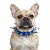 Handcrafted French Bulldog Extreme Leather Spiked Dog Collar