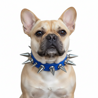 Handcrafted French Bulldog Extreme Leather Spiked Dog Collar