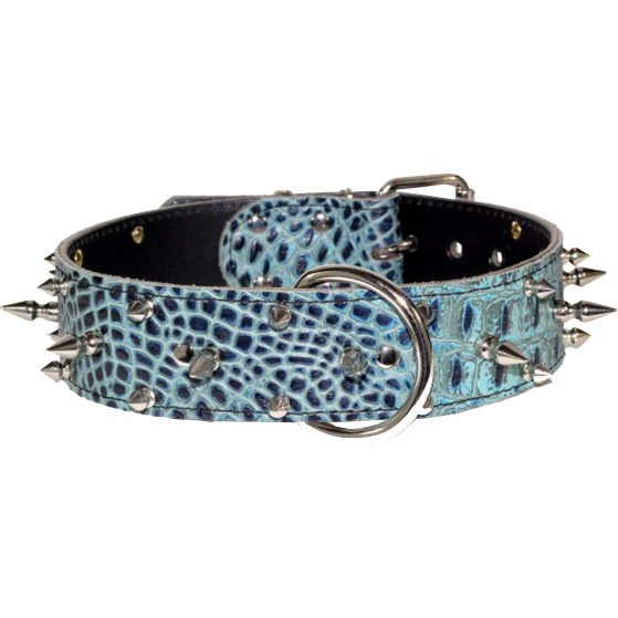 croc leather turquoise hand made dog collar for larger breeds