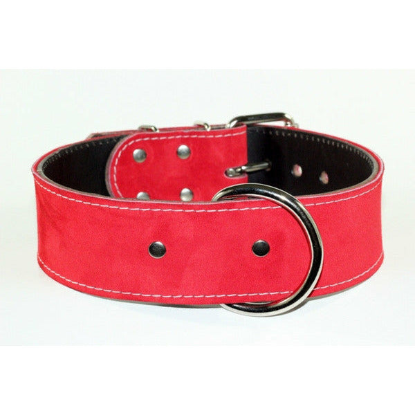 Royal Blue Suede Leather Dog Collar