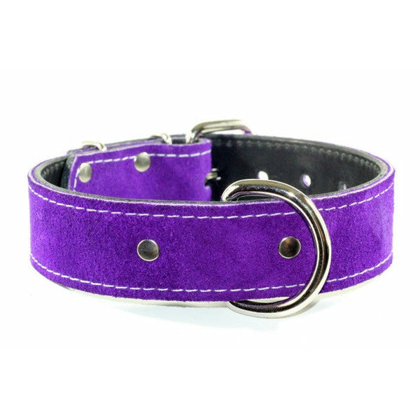 Royal Blue Suede Leather Dog Collar