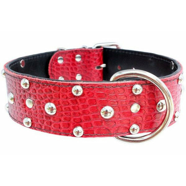 Handcrafted Studded Leather Dog Collar