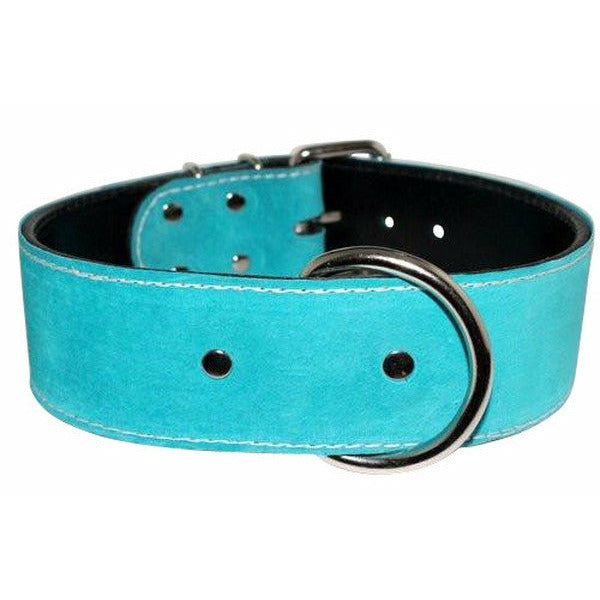 Royal Blue Suede Leather Dog Collar