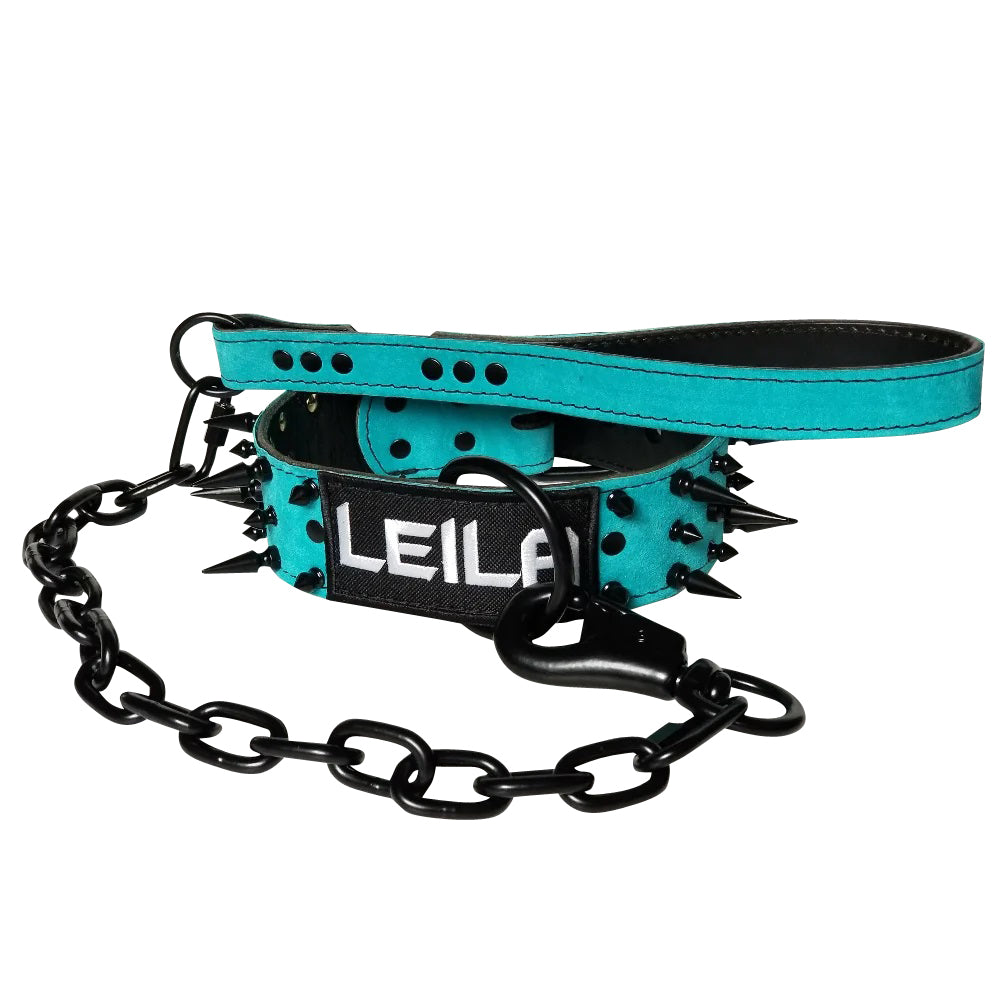 Turquoise Suede Personalized Dog Collar With Matching Leash