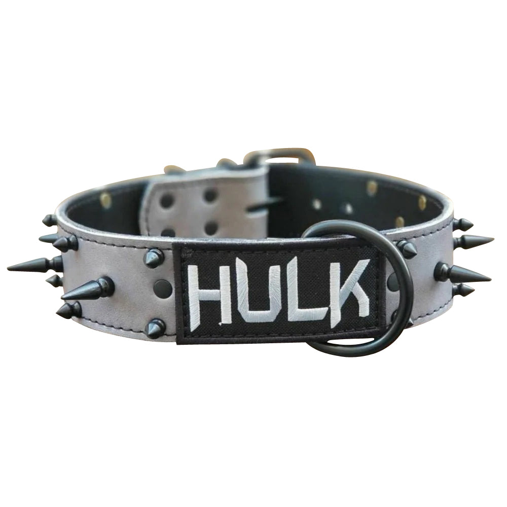 grey dog collar with custom name and spikes