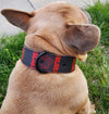 French Bulldog Red And Black Leather Collar