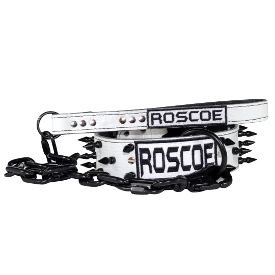white name collar and leash with black spikes