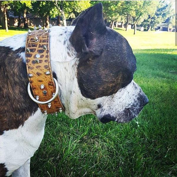 Embossed croc Butterscotch Leather Dog Collar 