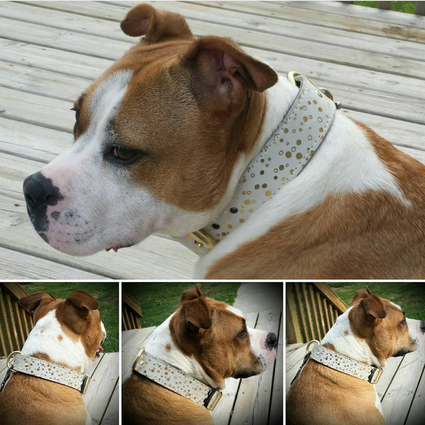 White And Gold Printed Leather Collar