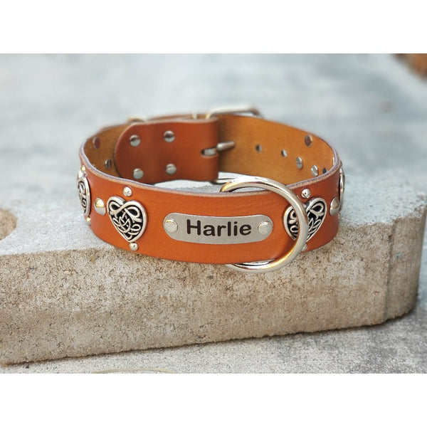 custom name dog collar - celtic dog collar
