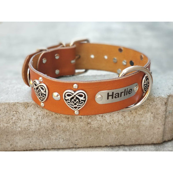 custom leather dog collar