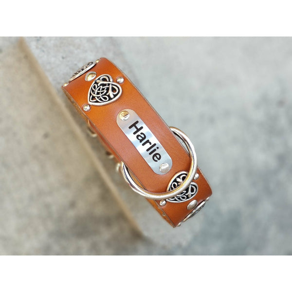 personalized leather dog collar