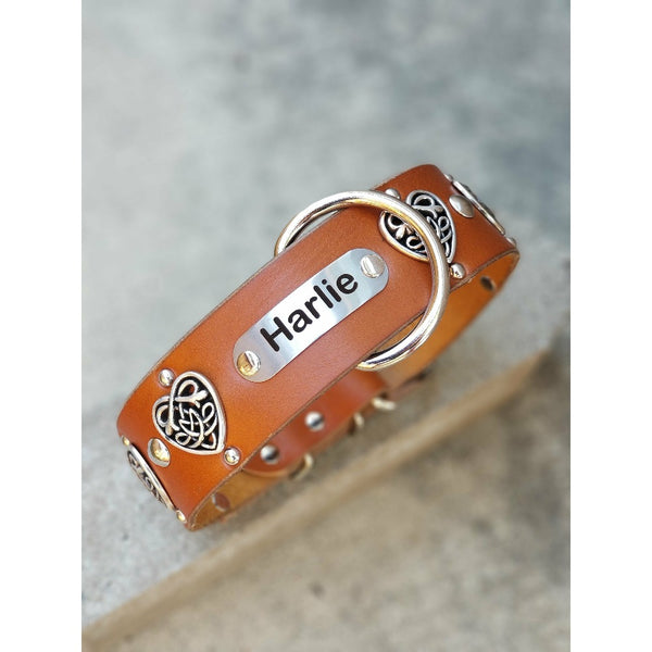 Custom Name Leather Dog Collar