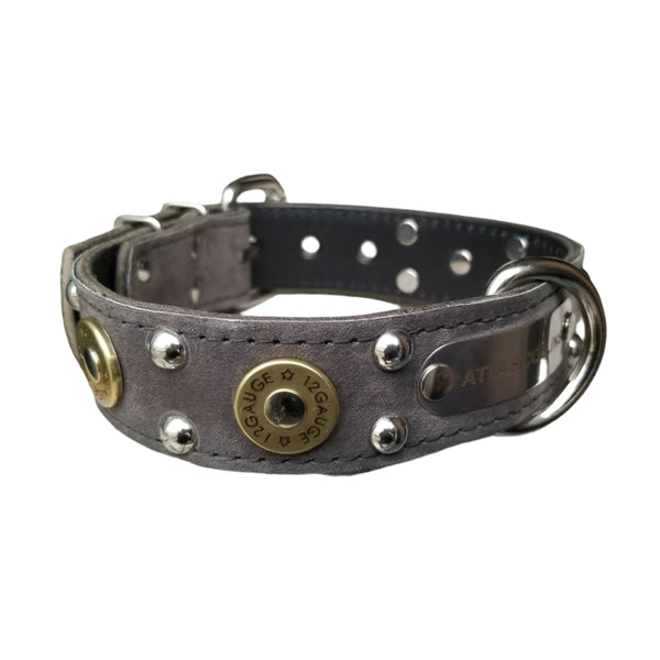engraved name plate dog collar