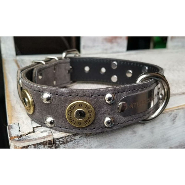 engraved name plate dog collar
