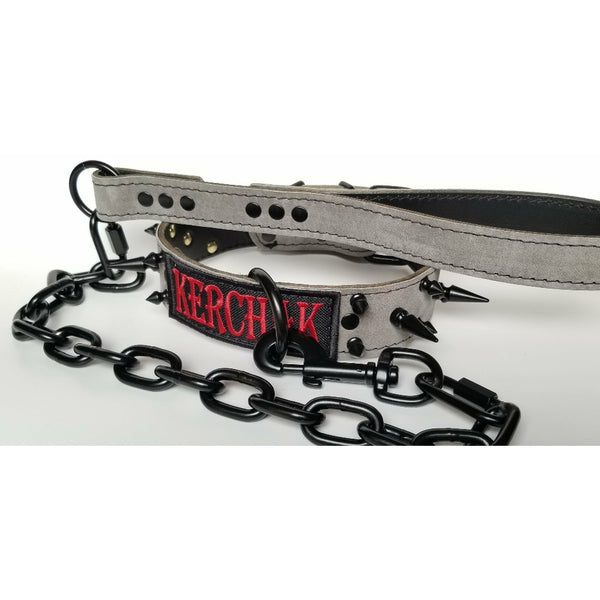 custom made leather dog collar and black powder coated leash