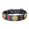 shotgun shell dog collar