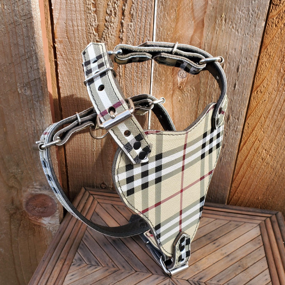 designer frenchie leather harness