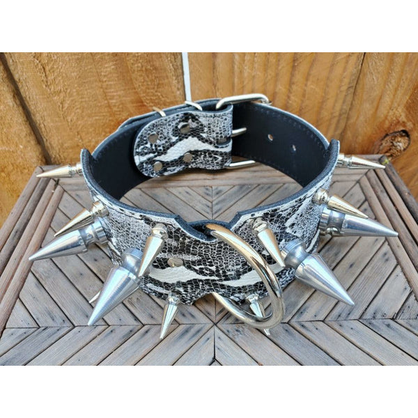extreme spiked cane corso collar