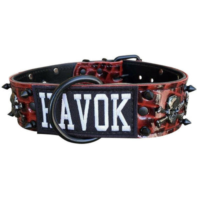 Spiked leather dog collar with skulls