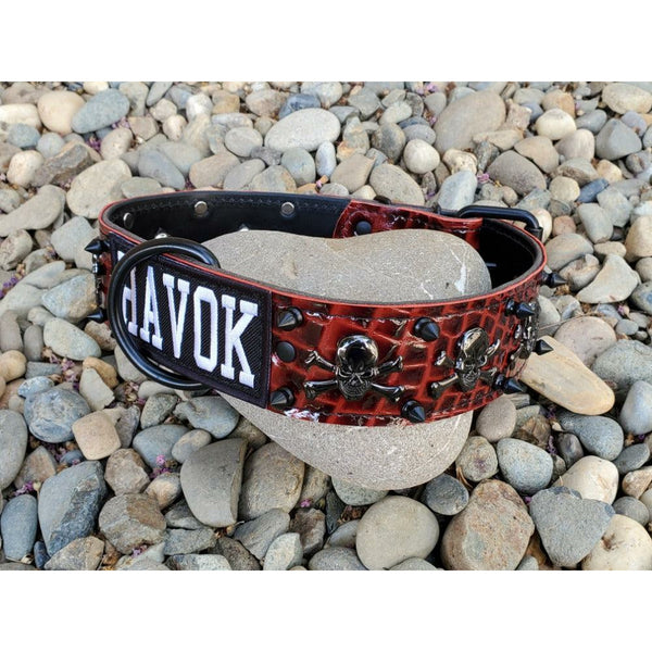 skull and spiked leather collar, bully spiked dog collar