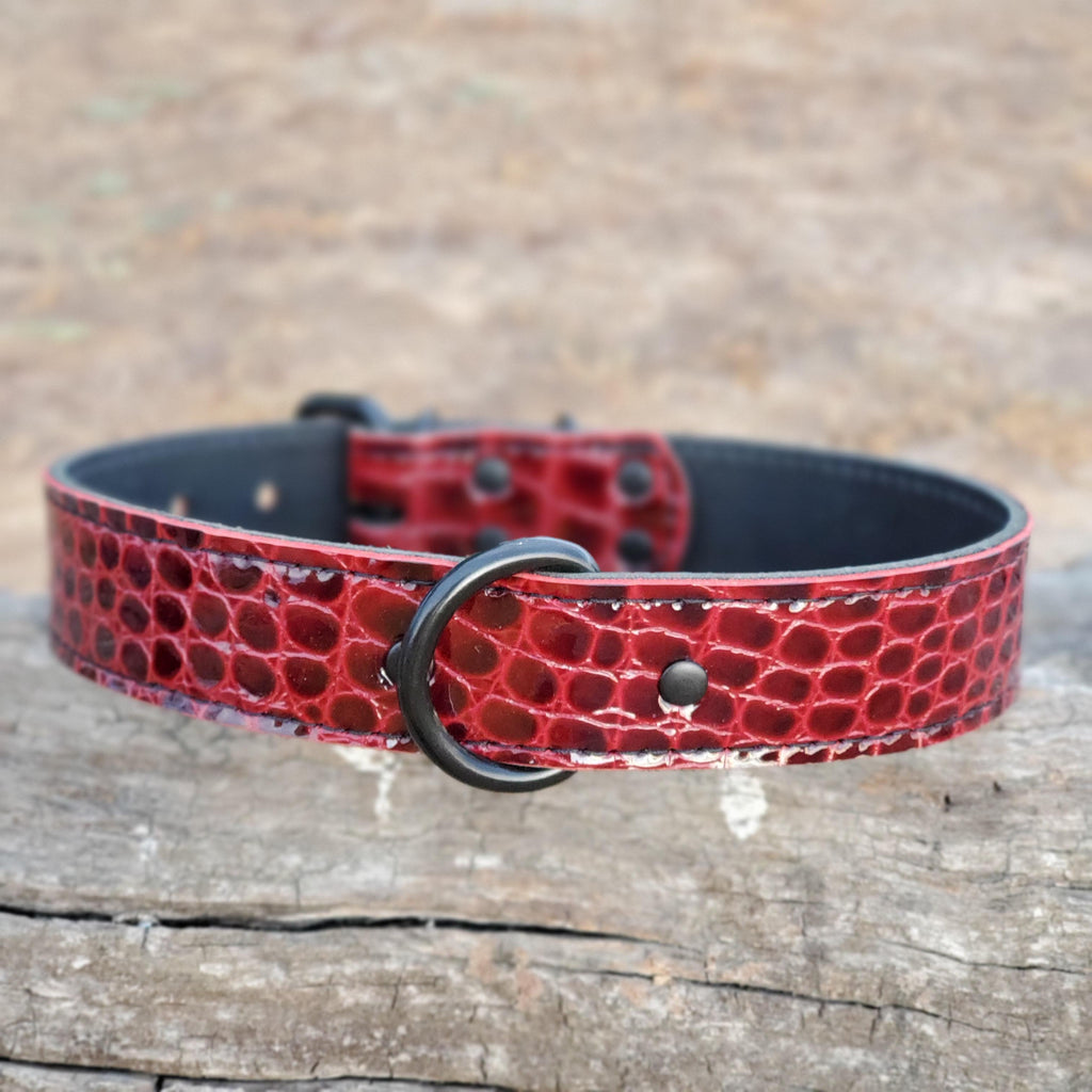 1.5" Red Alligator Embossed Leather Dog Collar - Fits 20" to 24" necks