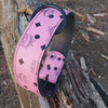2" Pink Designer Dog Collar Fits 20" to 24"