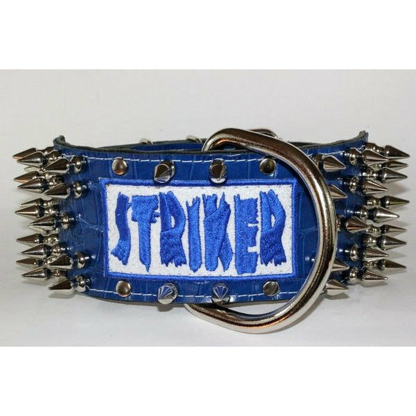 blue Leather spiked name collar with name patch