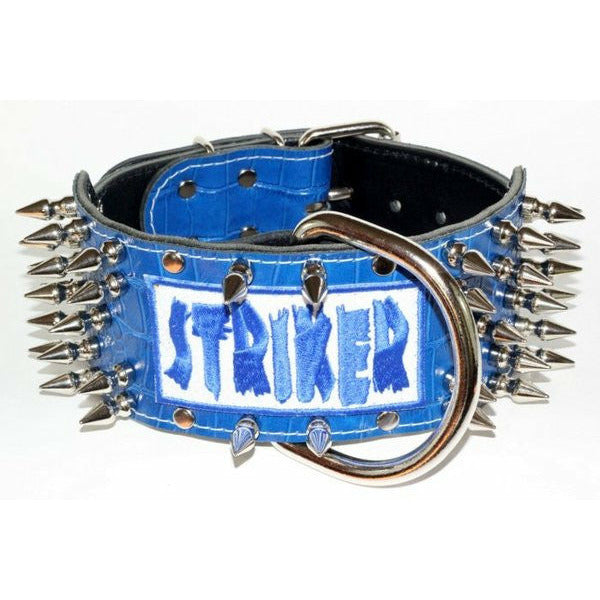 wide blue spiked custom name dog collar