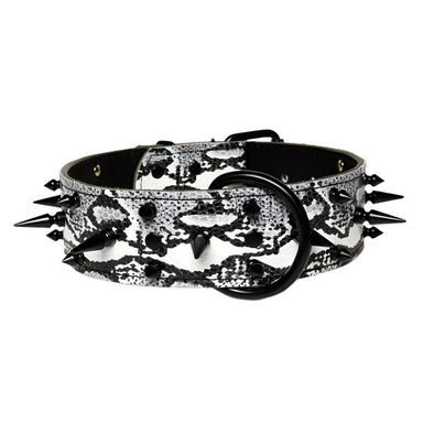 Cane Corso Leather Dog Collar -  Black And White Snake Skin Leather Dog Collar