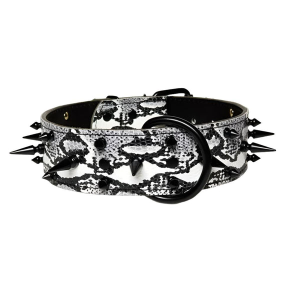 Cane Corso Leather Dog Collar -  Black And White Snake Skin Leather Dog Collar
