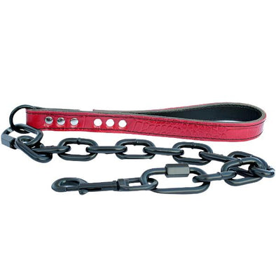 Dog Leash with Black Powder Coated Chain