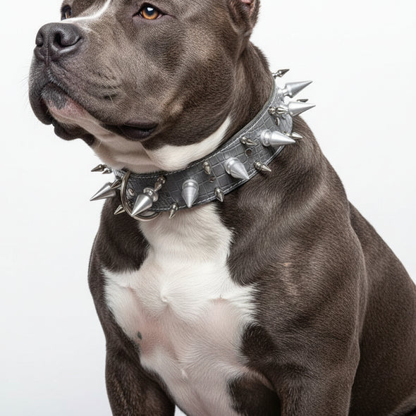 grey leather spiked dog collar