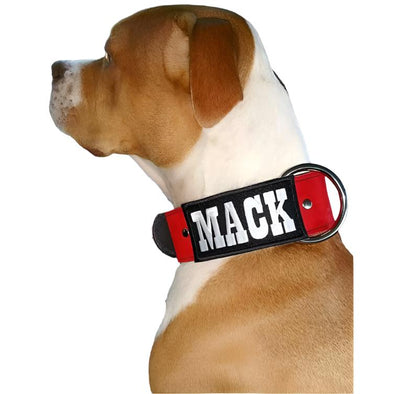 Embroidered Suede Leather Dog Collar 