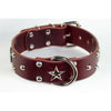 RICH CHERRY BROWN LEATHER DOG COLLAR - STAR CONCHO LEATHER COLLAR-Rad N Bad Collars