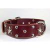 RICH CHERRY BROWN LEATHER DOG COLLAR - STAR CONCHO LEATHER COLLAR-Rad N Bad Collars